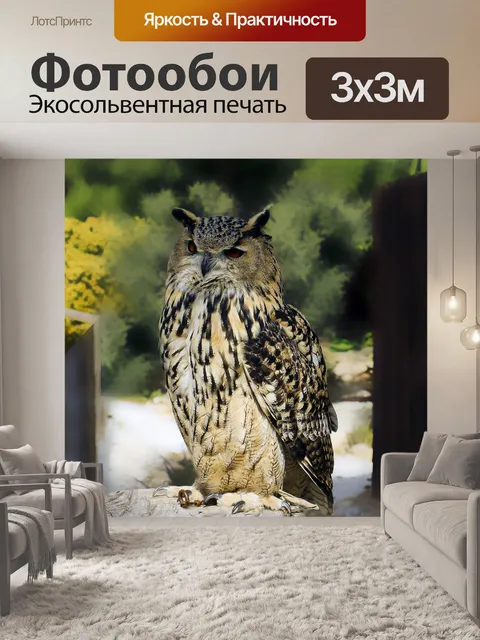 Фотообои Птица