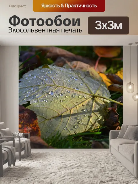 Фотообои Осень