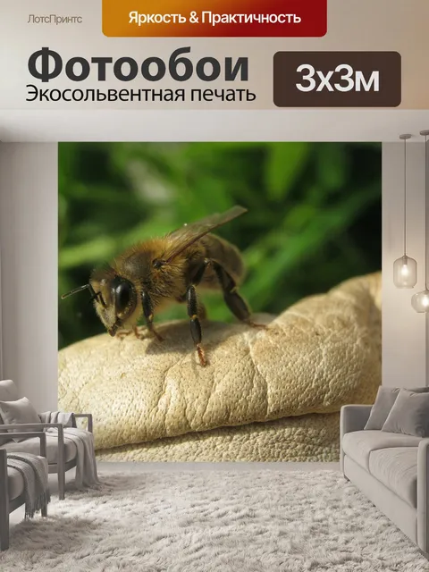 Фотообои Пчела