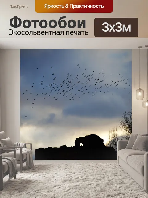 Фотообои Птицы