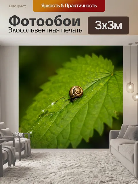 Фотообои Улитка