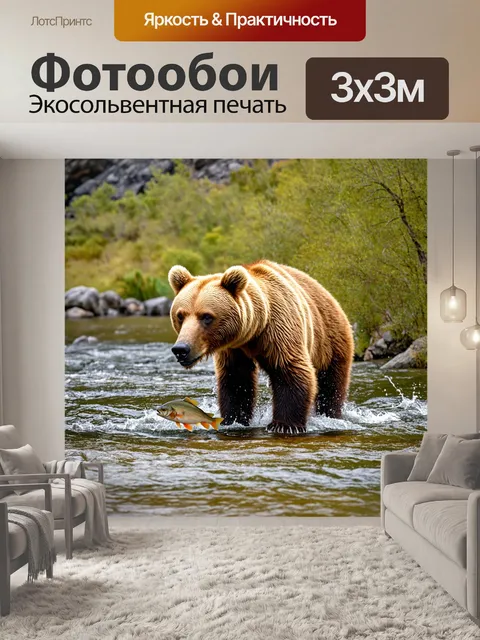Фотообои коричневый медведь, охотящийся на рыбу в горной реке