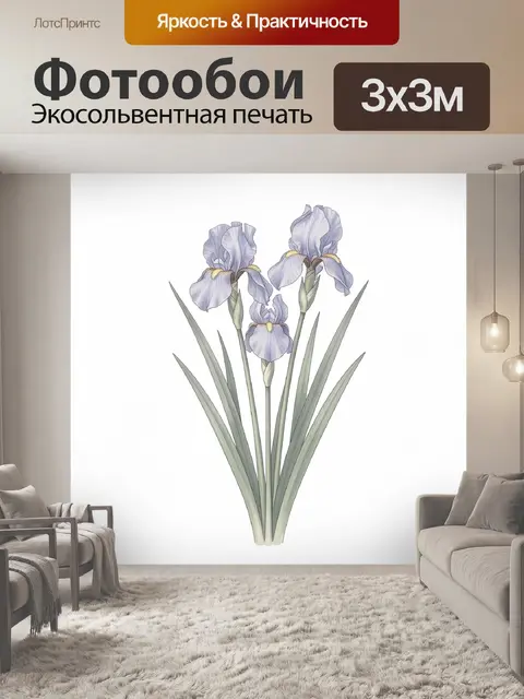 Фотообои Лавандовые ирисы на белом фоне