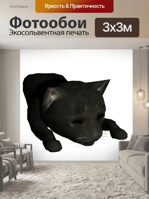 Фотообои спящий кот