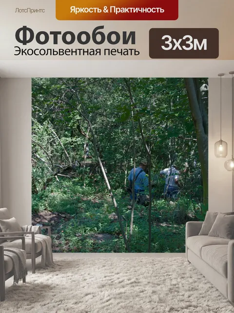 Фотообои туристы, исчезающие в лес