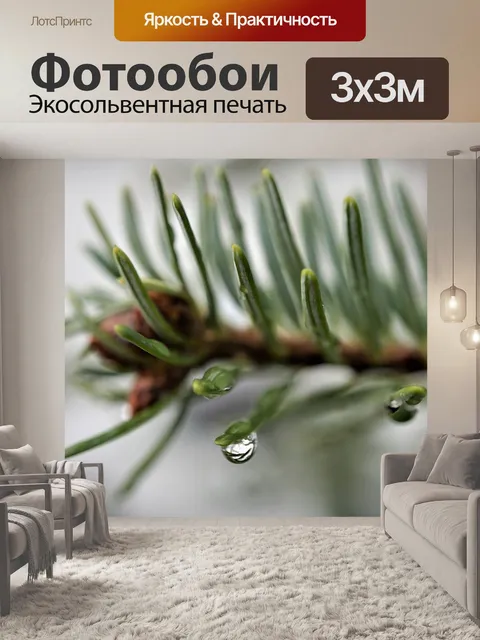 Фотообои Еловая ветка