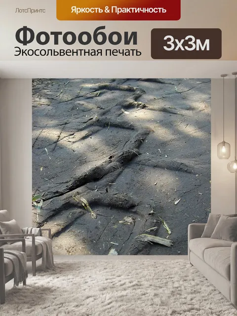 Фотообои Следы шин