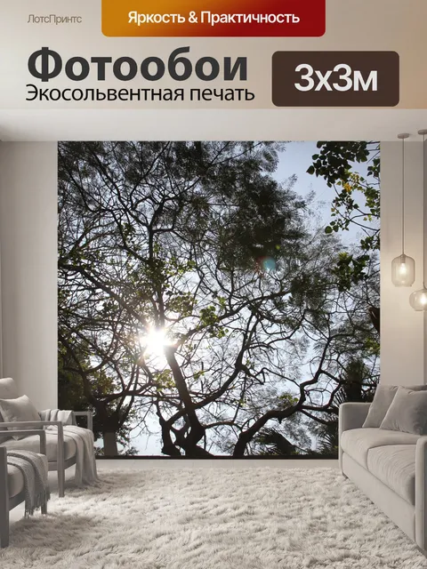 Фотообои Свет