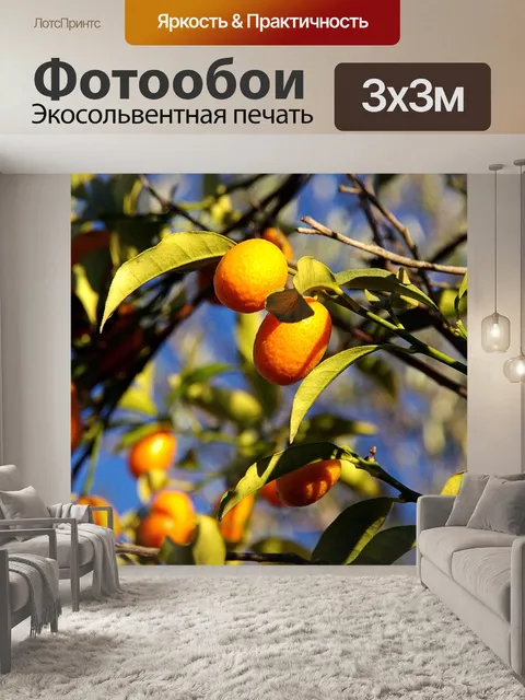 Фотообои Маленькие апельсины против голубого неба