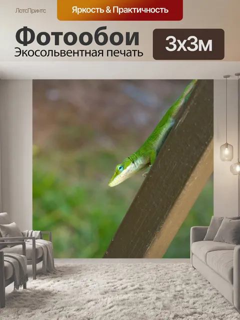 Фотообои Ящерица