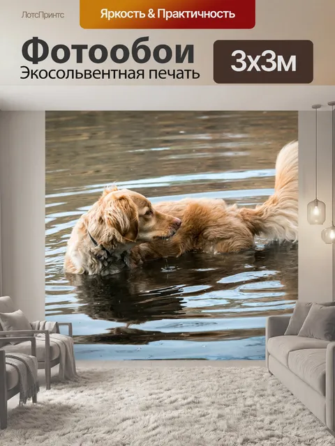 Фотообои Золотистый ретривер