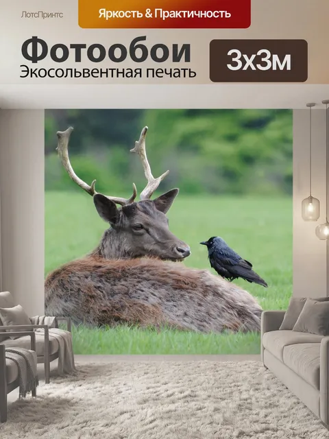 Фотообои Доллар