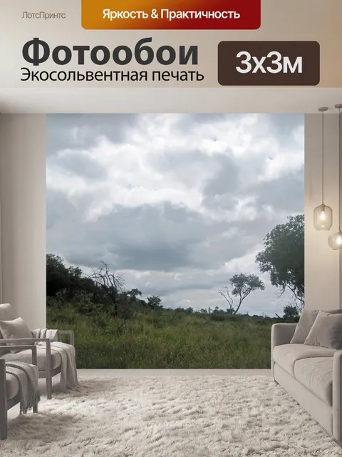 Фотообои южноафриканский пейзаж с деревом
