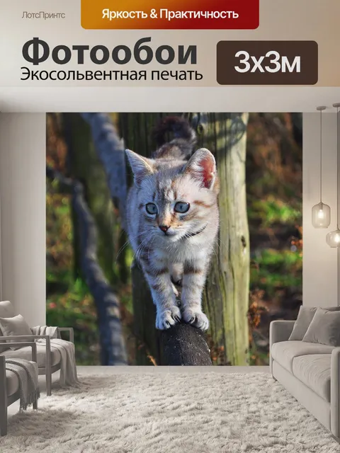 Фотообои Кошка