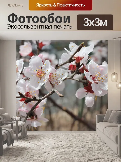 Фотообои Цветение вишни