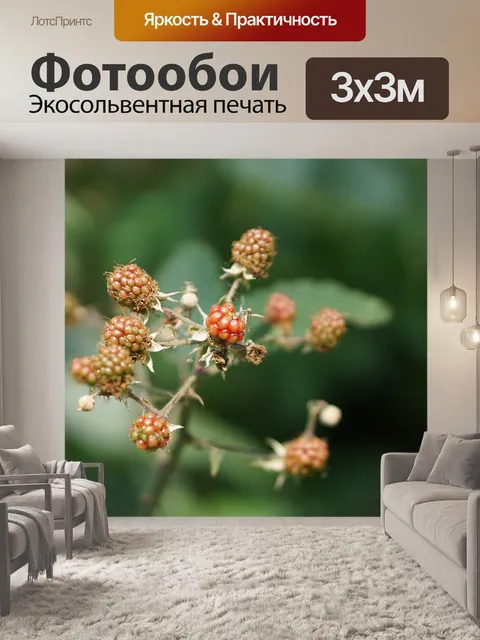 Фотообои Лесные ягоды