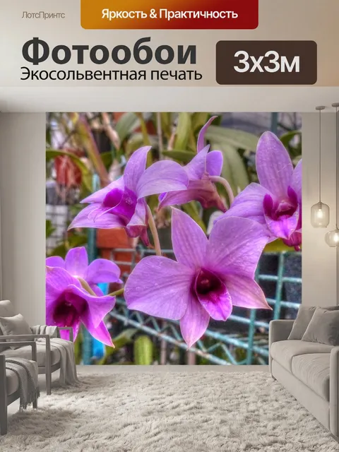 Фотообои Розовая орхидея