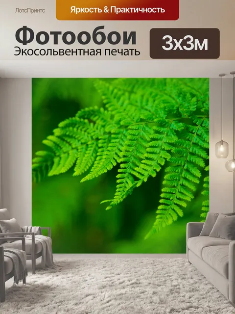 Фотообои папоротник