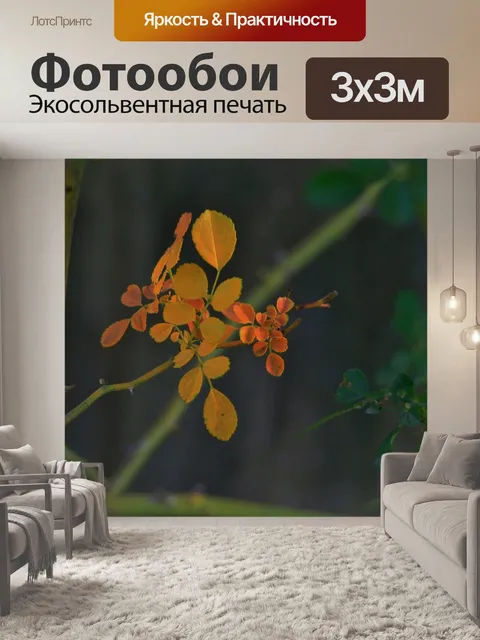 Фотообои желтые листья на розовый куст