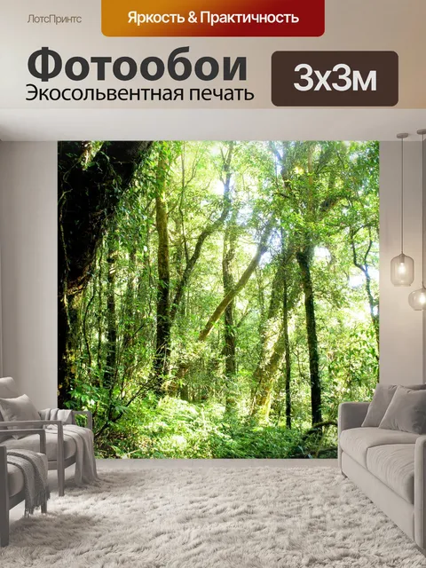 Фотообои Природа тропический лес дои Интанон наци