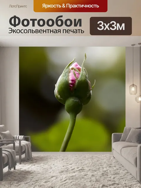 Фотообои Цветы