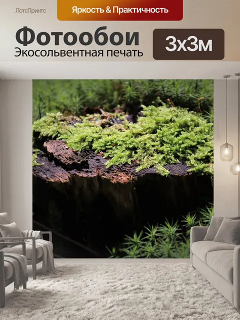 Фотообои Лес