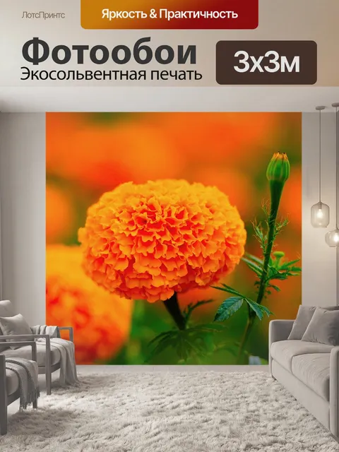 Фотообои Оранжевый календулы
