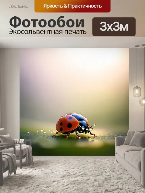 Фотообои изображение божьей коровки с капелькой росы на спинке