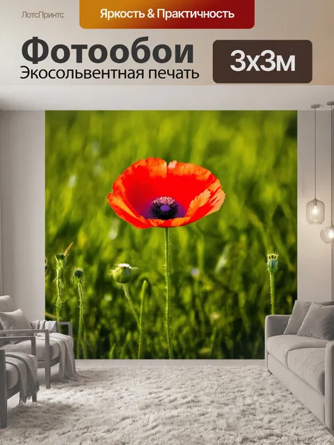 Фотообои ярко-красный цветок мака, который распускается на фоне нежной зеленой травы