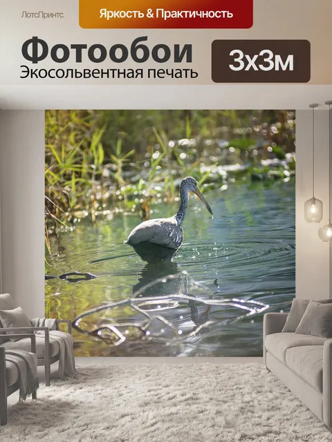 Фотообои Птица