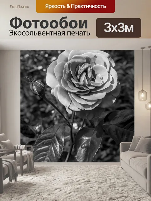 Фотообои Rose