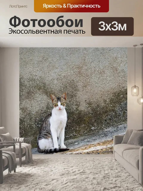 Фотообои Греческие уличные коты на каменной лестнице