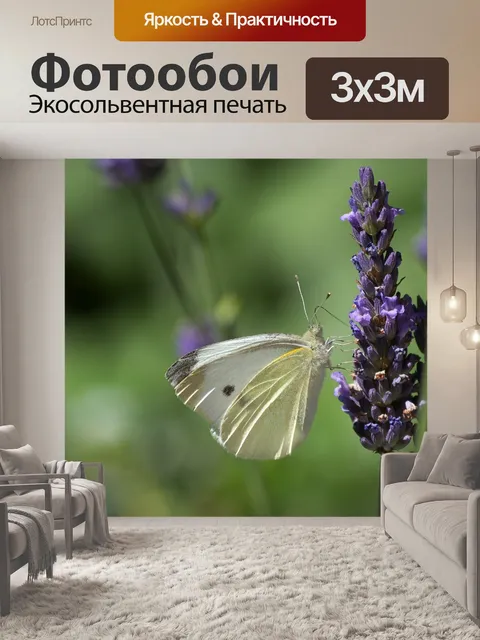 Фотообои Бабочка