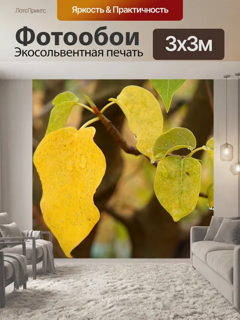 Фотообои Желтые листья