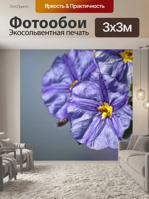 Фотообои Цветы сирени