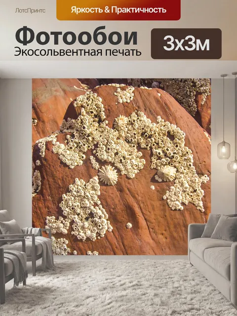 Фотообои Камни