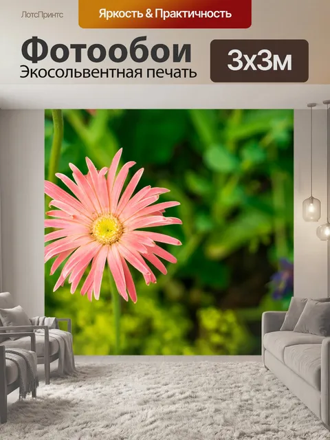 Фотообои Розовый Дейзи цветок типа