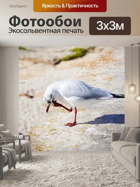 Фотообои Чайка и ее тень