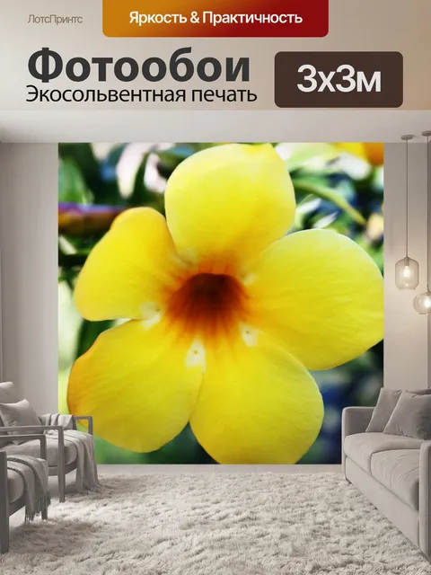 Фотообои Желтый цветок