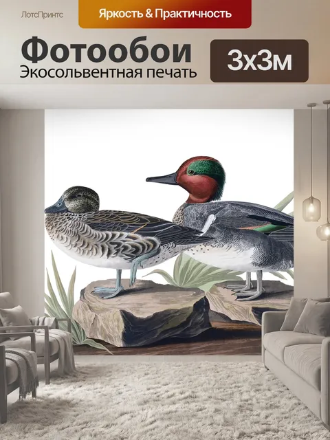 Фотообои Птица Утка Винтажное Искусство