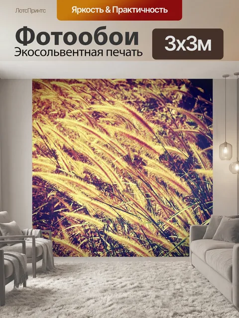 Фотообои Красивый цветок