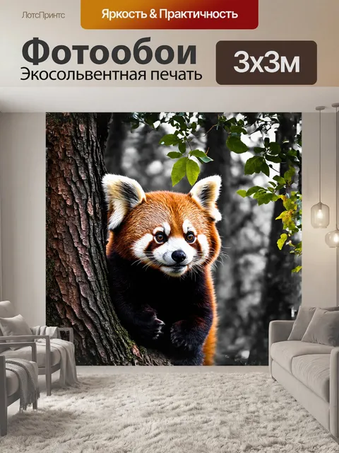 Фотообои красная панда, выглядывающая из-за дерева, словно охотник за приключениями, смотрит на новый мир