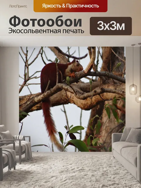 Фотообои Малабар гигантские белки