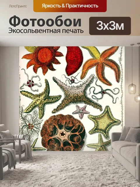 Фотообои Морская звезда старинного искусства