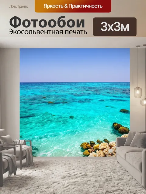 Фотообои египет: пляж на красном море, коралловые рифы и морская жизнь