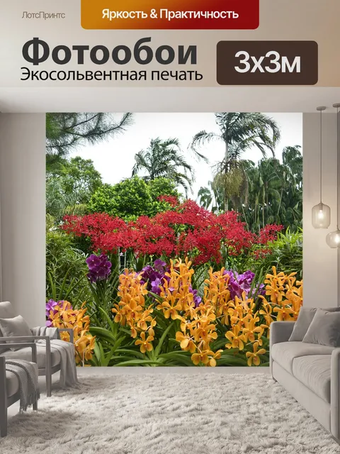 Фотообои Орхидеи