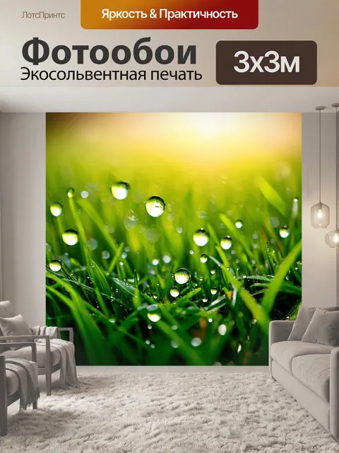 Фотообои утро, освежающие капли росы на траве, утренний свет создаёт яркую палитру цветов