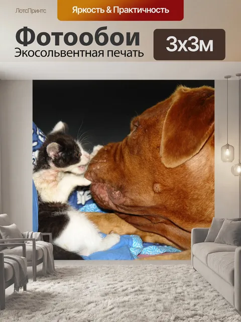 Фотообои Нежность
