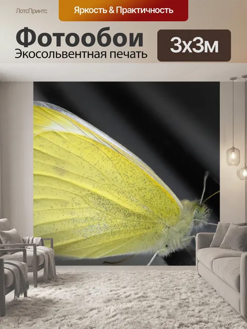 Фотообои Бабочка