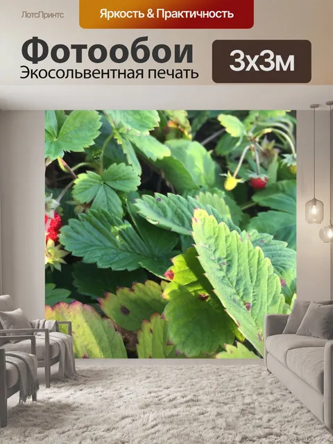 Фотообои Дача